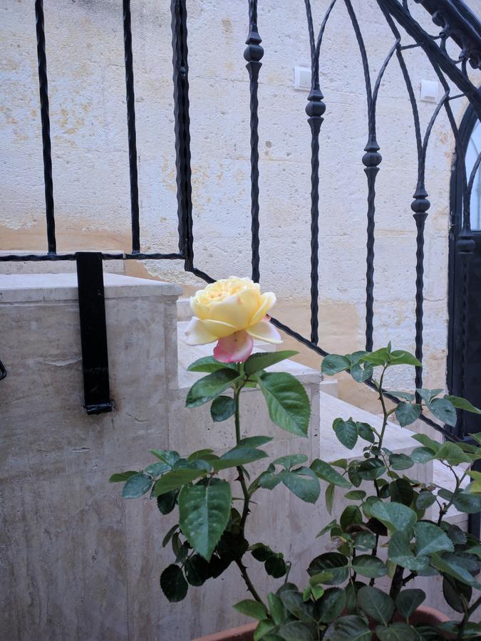 Avanos Sendian-Guesthouse (Adults Only) מראה חיצוני תמונה